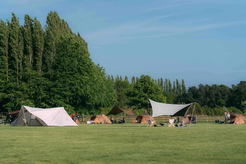 Camping in the New Forest: All you need to know