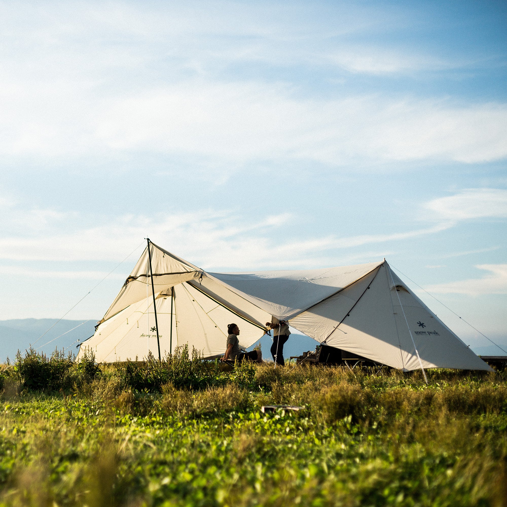 Land Station Ivory